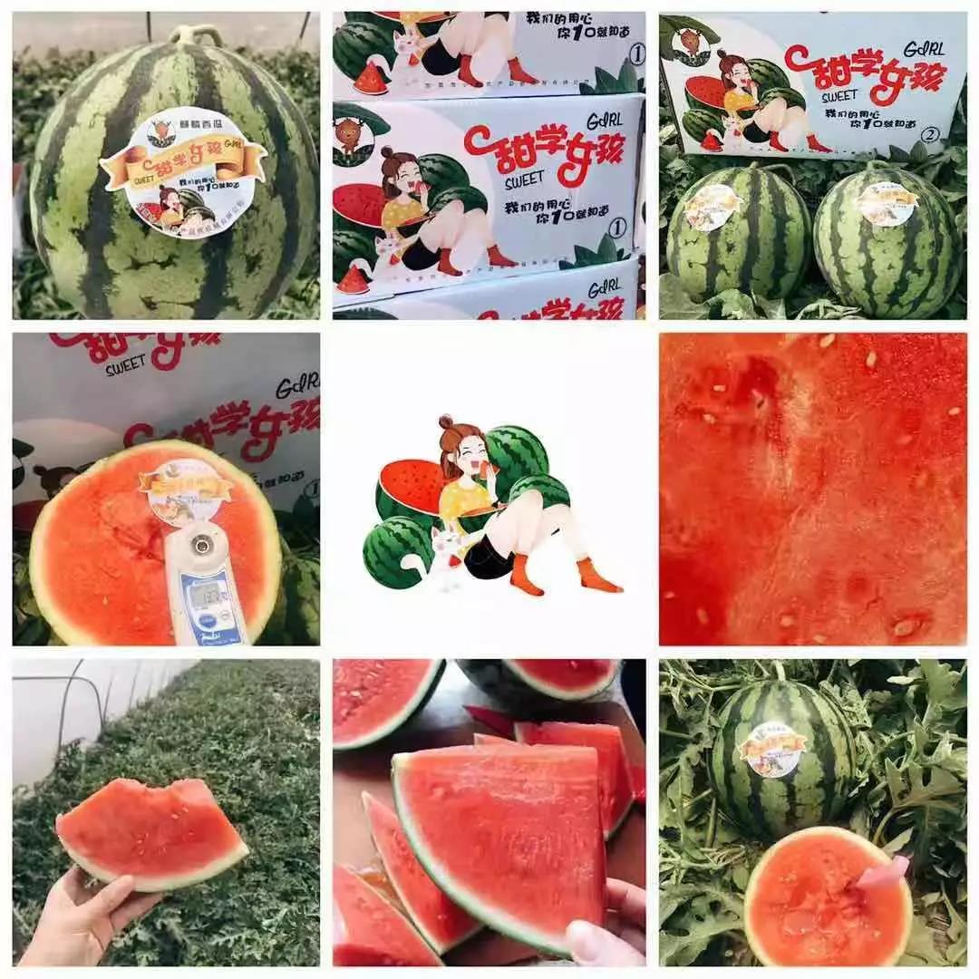 甜学女孩麒麟瓜.jpg