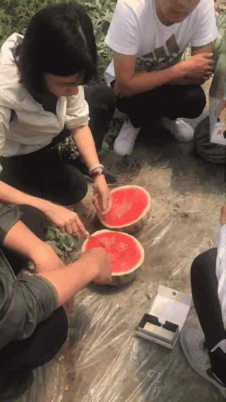 陆容亲赴产地品尝甜学女孩.gif