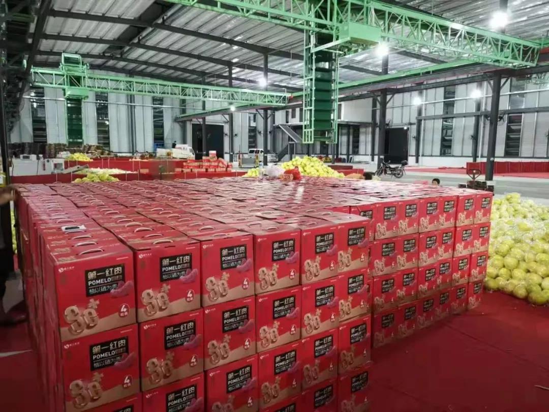 厚助农业的仓库.jpg