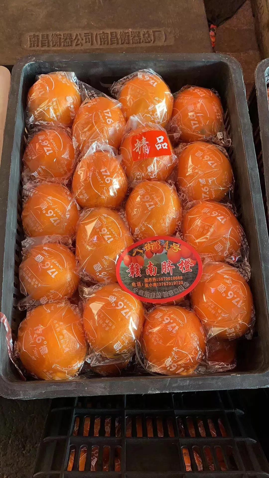 张青福果业爆品脐橙.jpg