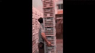 员工在搬货.gif