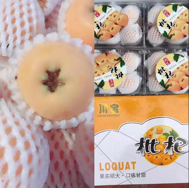 川宝枇杷.jpg