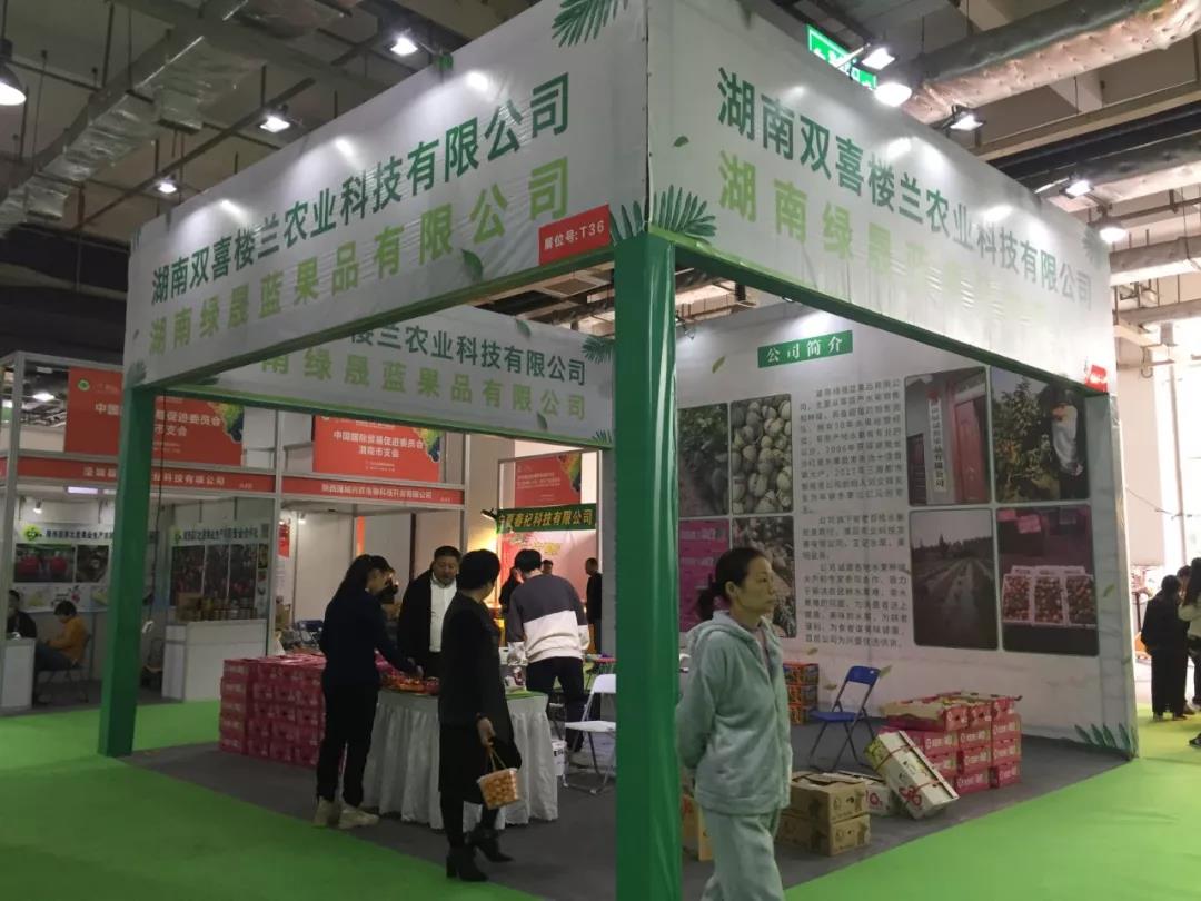 双喜楼兰参展.jpg