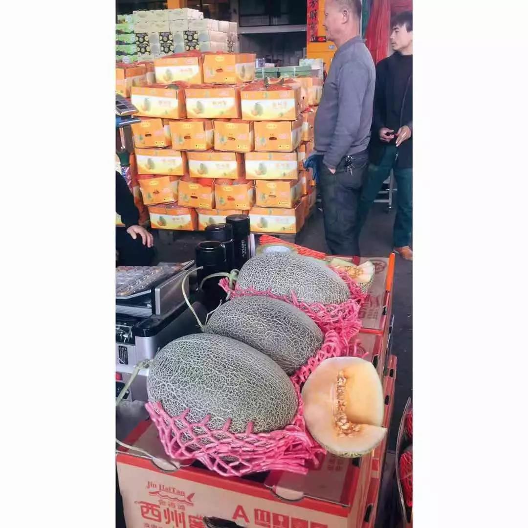 优质哈密瓜.jpg