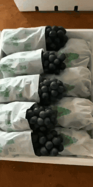 5.gif