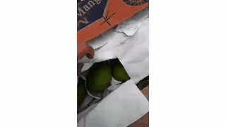 12.gif