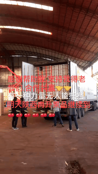 7.gif